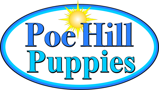 Poe Hill Puppies logo